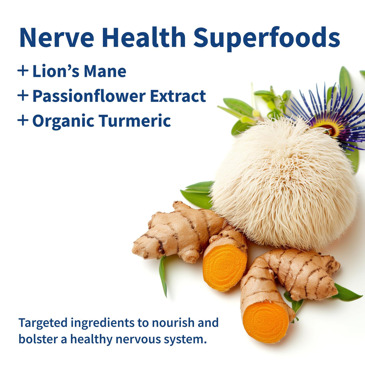 Snap Supplements Nerve Health Support with Lion's Mane - 60 Capsules - image 3