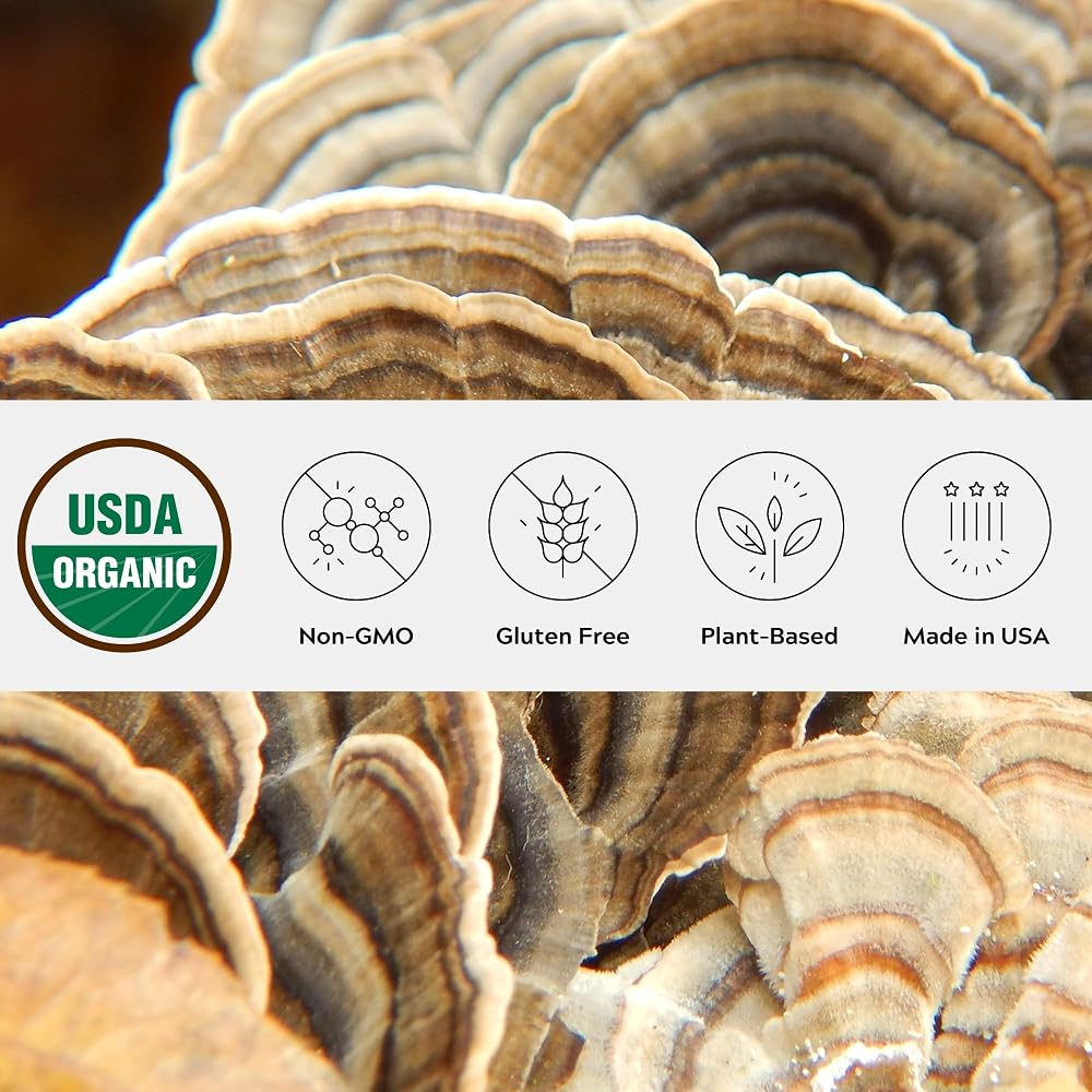 One Farm by WAAYB Organic Turkey Tail Mushroom Powder - 80 Ounce - image 2