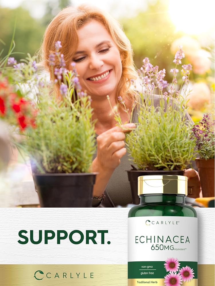 Carlyle Echinacea Capsules - 120 Vegetarian Capsules - image 7