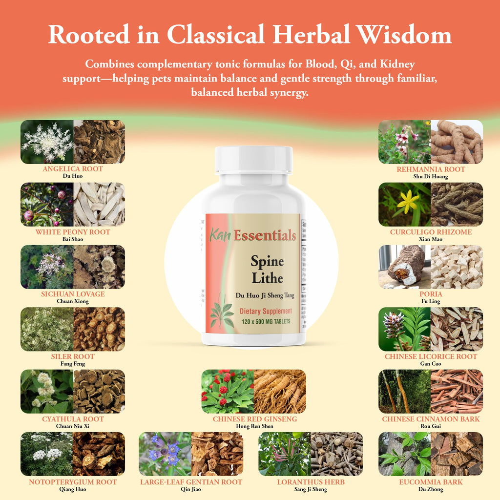 Kan Herb Company Spine Lithe Herbal Supplement for Pets - 120 Tablets - image 4