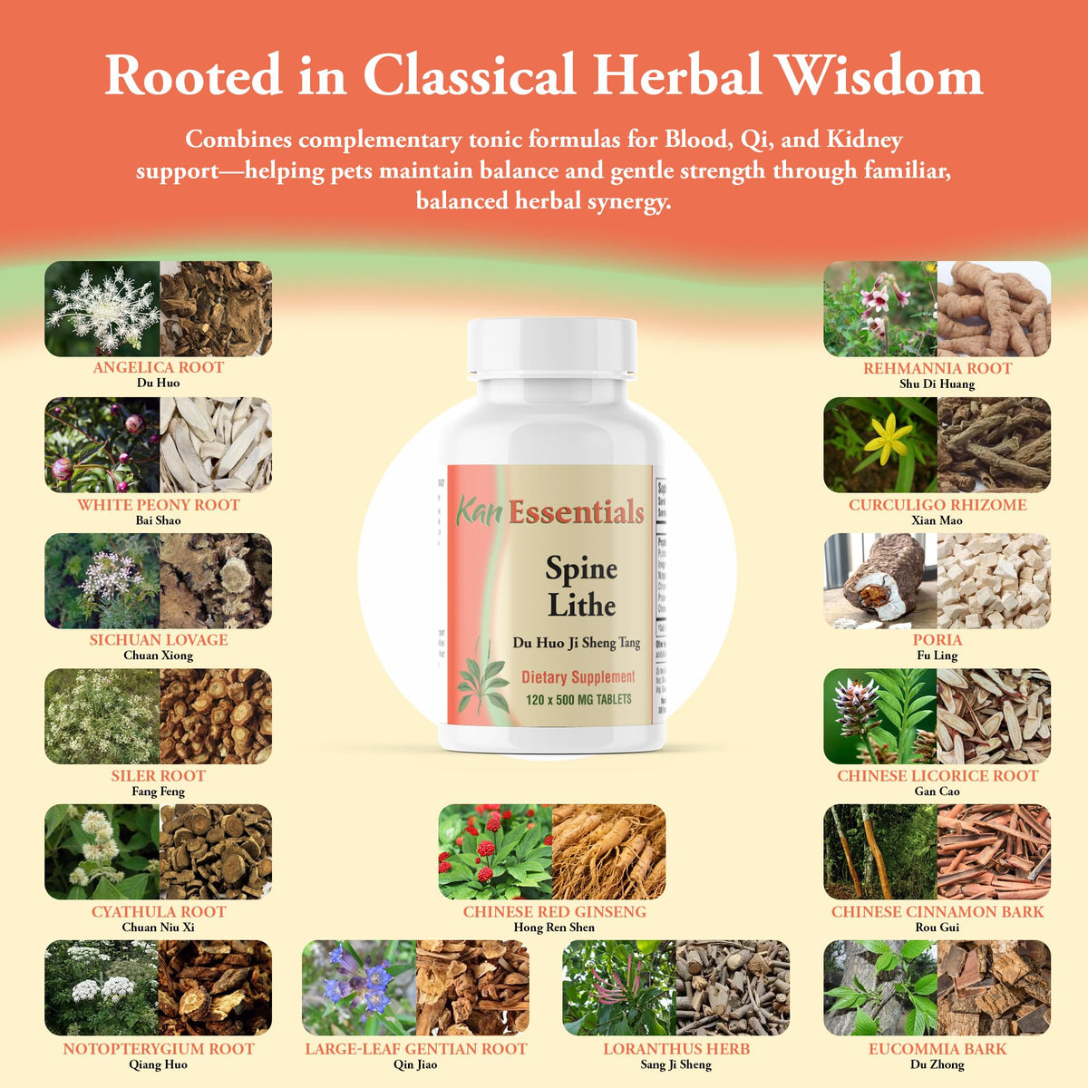 Kan Herb Company Spine Lithe Herbal Supplement for Pets - 120 Tablets - image 4