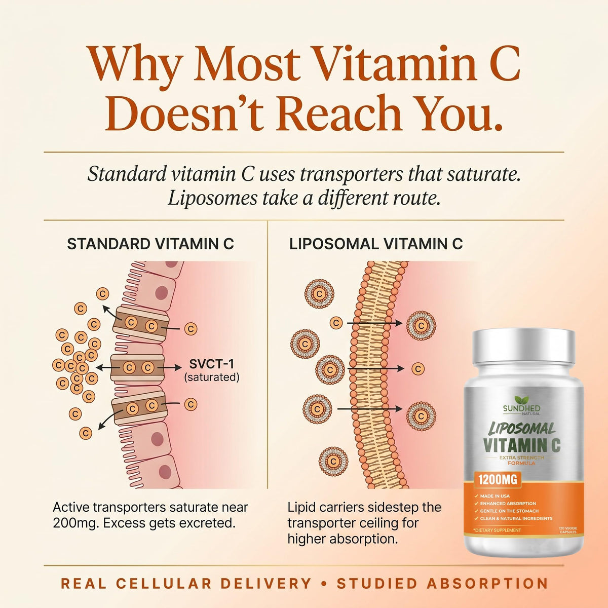 Sundhed Natural Pure Liposomal Vitamin C - 1200mg Immune System