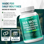 Nessarit Complete 16-in-1 Sea Moss Blend Capsules - 150 Count - image 6