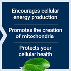 Life Extension Mitochondrial Energy Optimizer with PQQ - 180 Vegetarian Capsules - image 3
