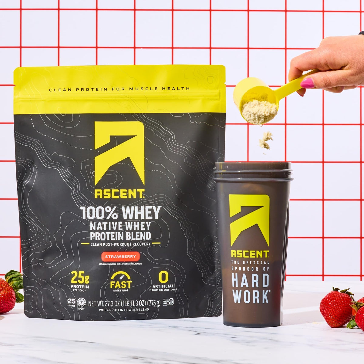Ascent Whey Protein Powder - Post Workout Whey Protein Isolate