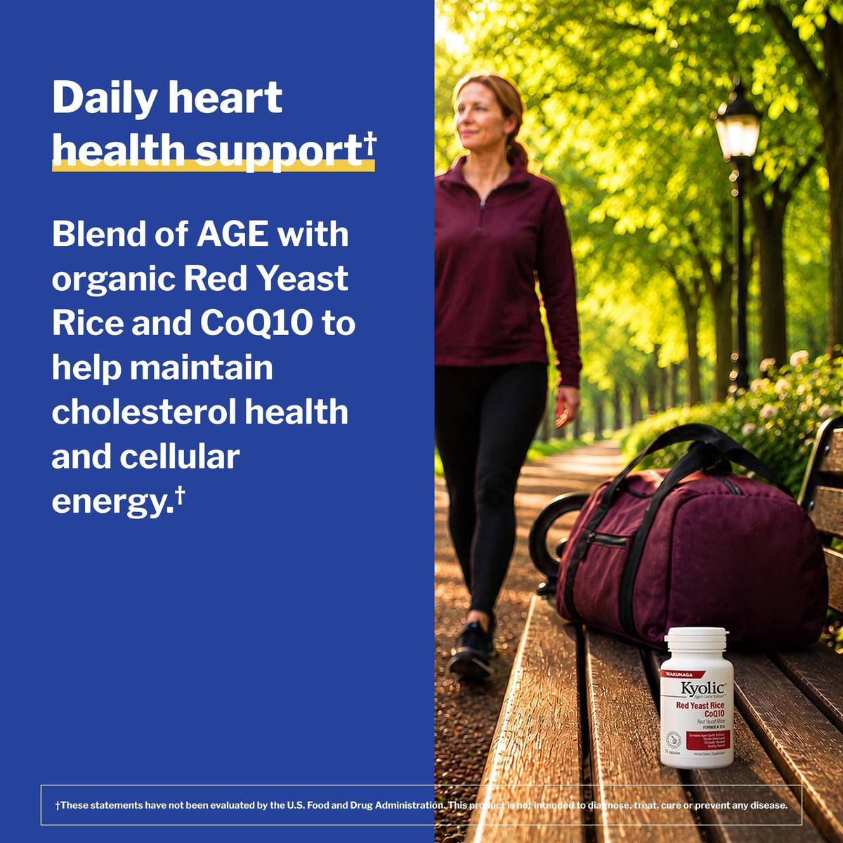 Kyolic Aged Garlic Extract Red Yeast Rice CoQ10 - 75 Capsules - image 4