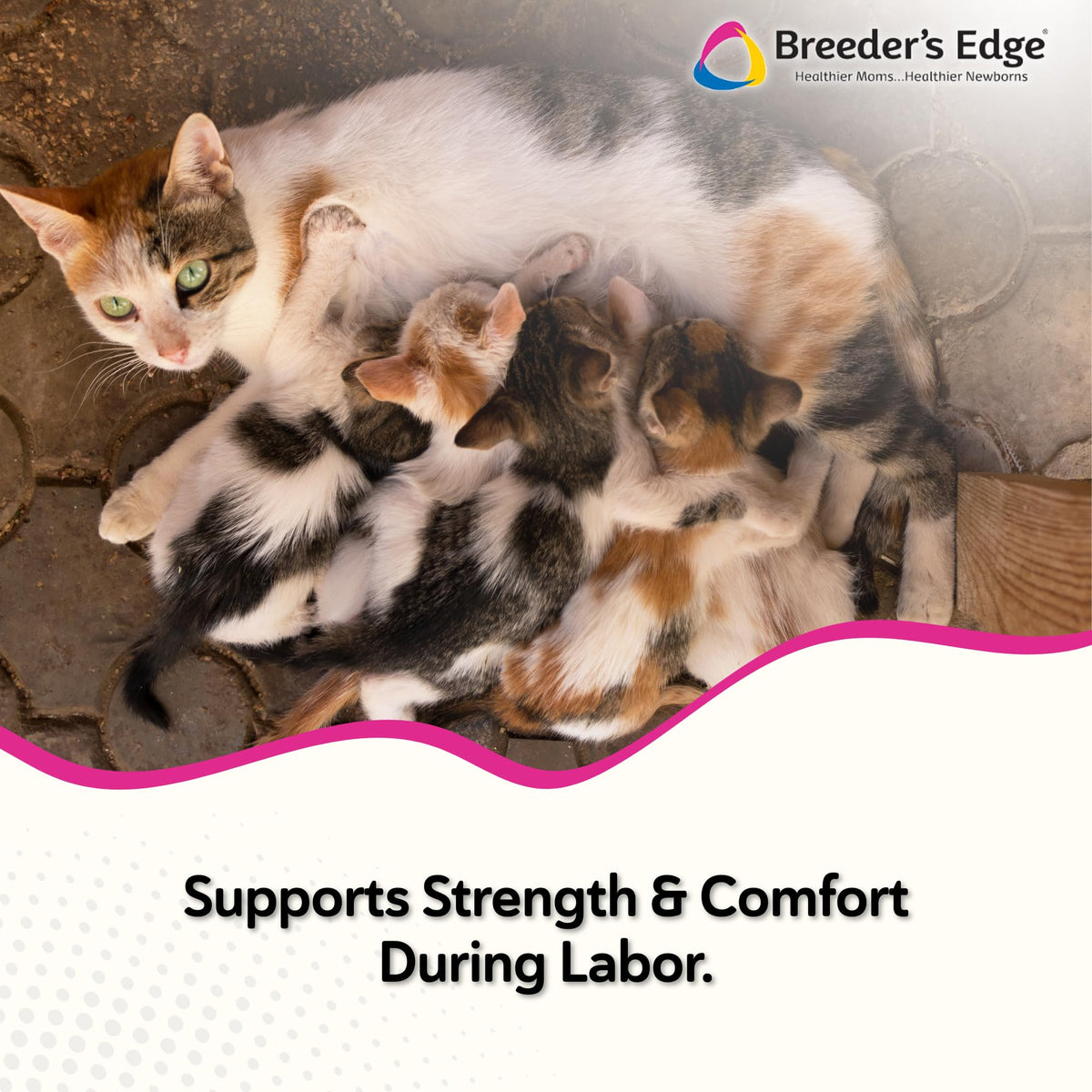 Breeder's Edge Oral Cal Plus Gel Calcium Supplement for Dogs & Cats - 30ml - image 2
