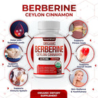 DECENT NATURE Organic Berberine with Ceylon Cinnamon - 90 Capsules - image 2