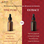 Kan Herb Temper Fire Herbal Extract - 2 fl oz - image 7