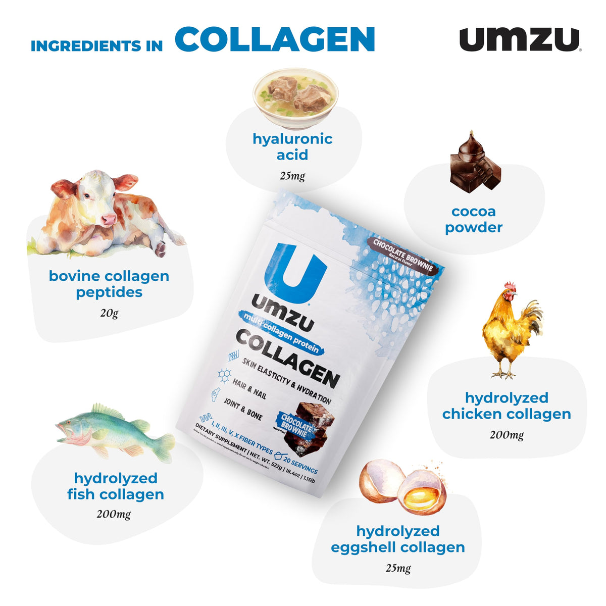 UMZU zuCollagen Collagen Peptides Powder Chocolate - 1.04 oz - image 3