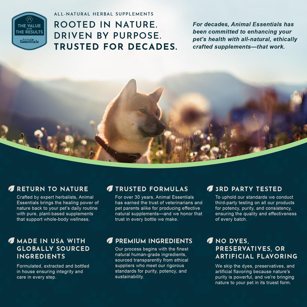 Animal Essentials Hawthorn Berry Supplement for Dogs & Cats - 1 fl Oz - image 9