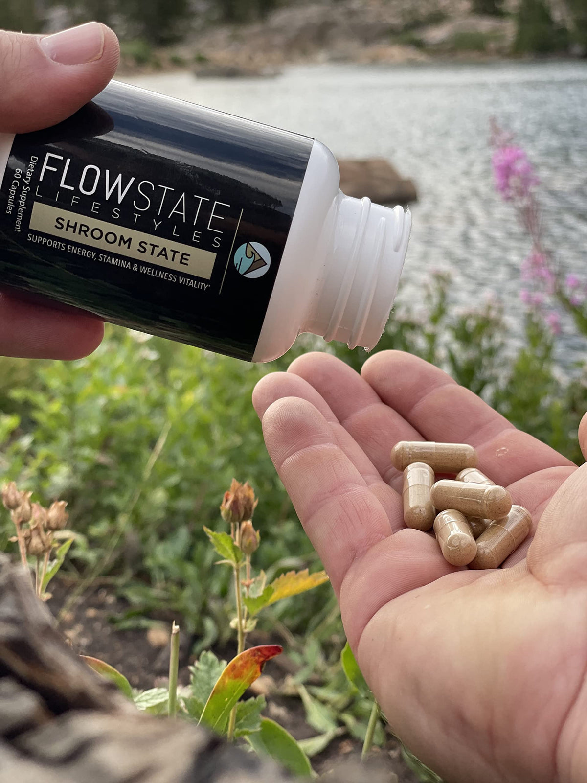 Flowstate Lifestyles Shroom State 10 Mushroom Complex - 60 Capsules - image 5