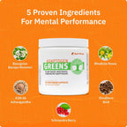SaltWrap Adaptogen Greens Nootropic Capsules for Stress & Focus - 90 Count - image 4