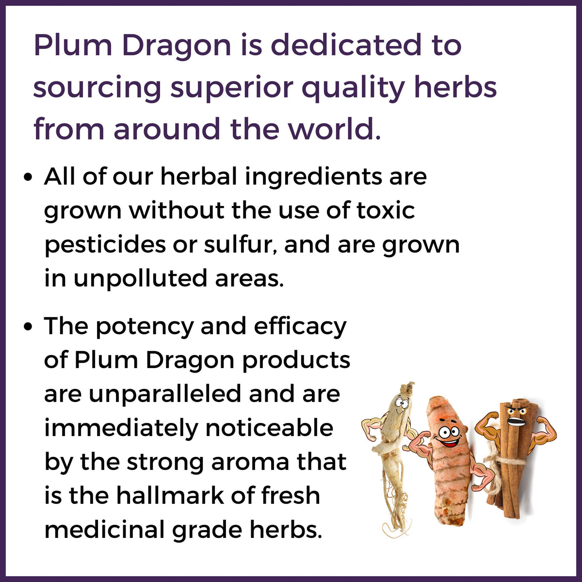 Plum Dragon Cinnamon Bark Rou Gui Chinese Herb - 1 Lb - image 2