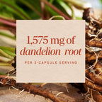 Nature's Way Dandelion Root Capsules 1,575 mg - 180 Capsules - image 4