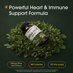 NatureBell Olive Leaf Extract Immune Support - 240 Capsules - image 2