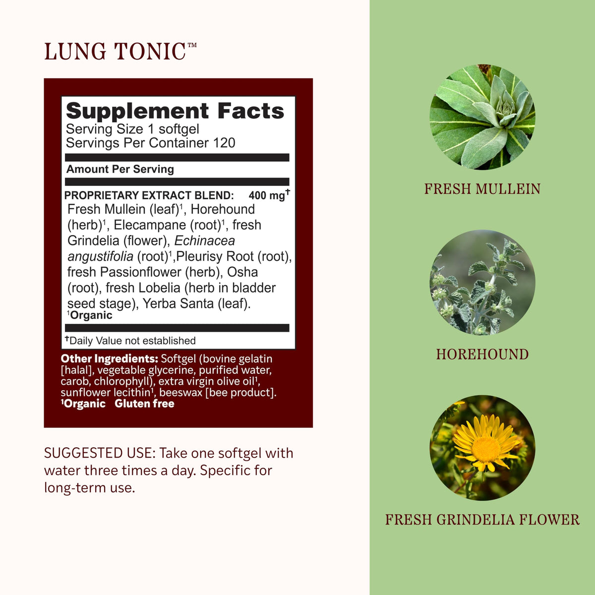 Herbs Etc. Lung Tonic Softgels Daily Respiratory Supplement - 120 Softgels - image 4