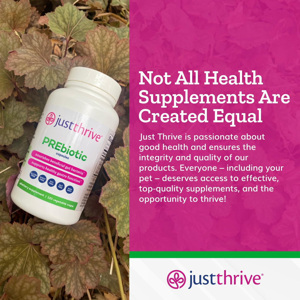 Just Thrive PREbiotic Capsules for Digestive & Immune Health - 120 Capsules - image 7