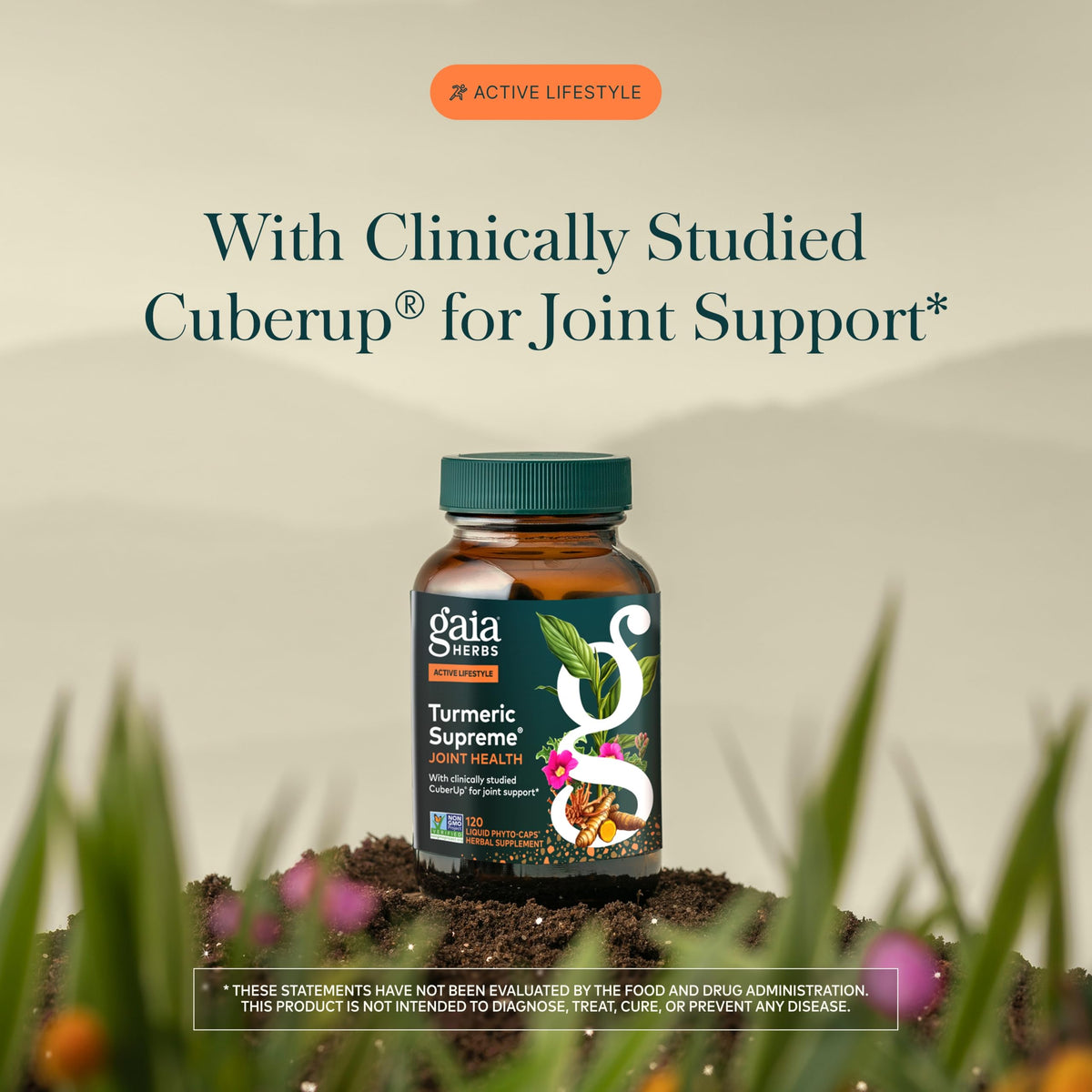 Gaia Herbs Turmeric Supreme Joint Health - Joint Support Supplement