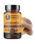 Herb Pharm Mushroom Wellness Everyday 10 Organic Capsules - 90 Vegan Capsules