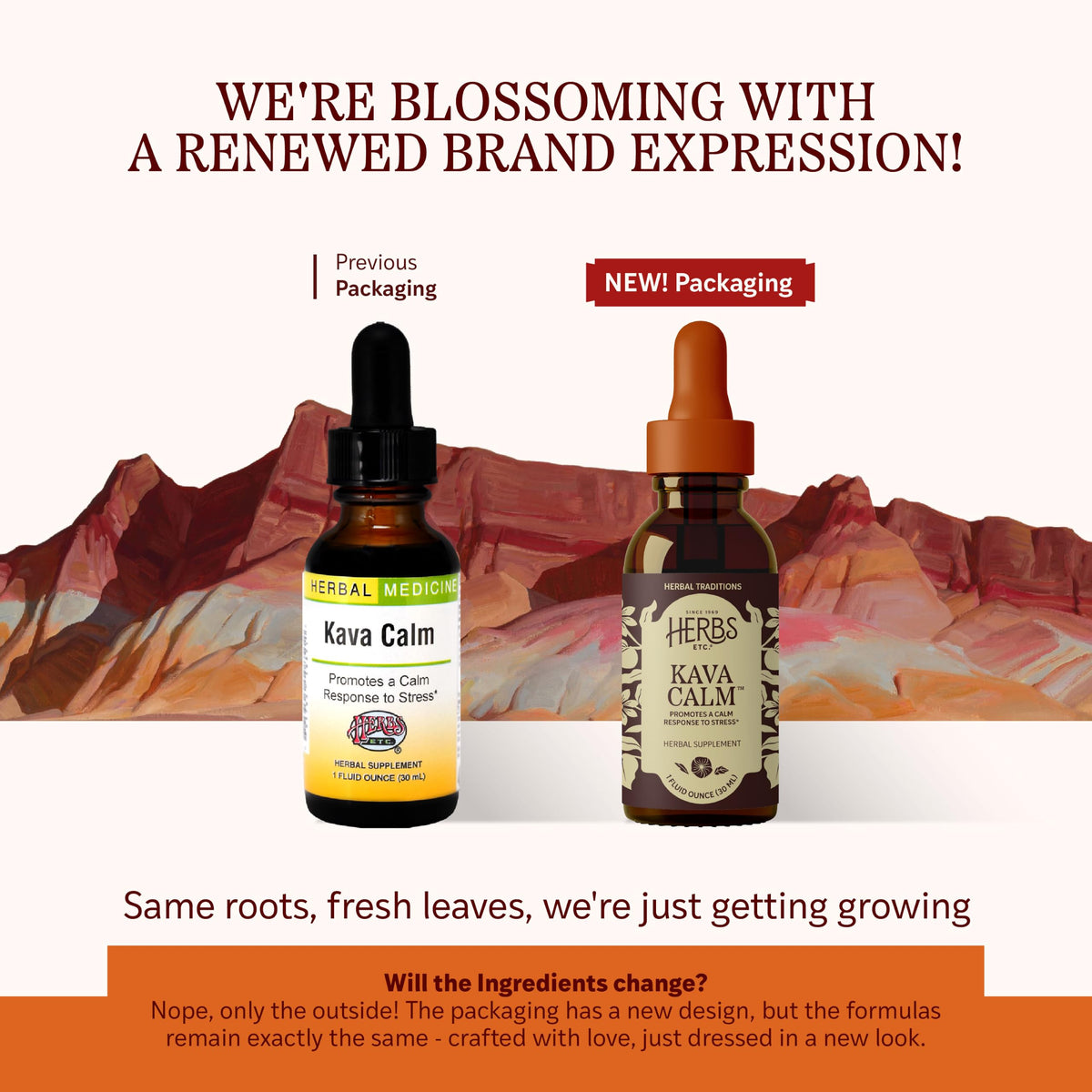 Herbs Etc. Kava Calm Classic Liquid Extract - 1 fl oz - image 2