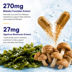 FINE JAPAN Fucoidan Capsules with Mekabu Seaweed - 30 Capsules - image 4
