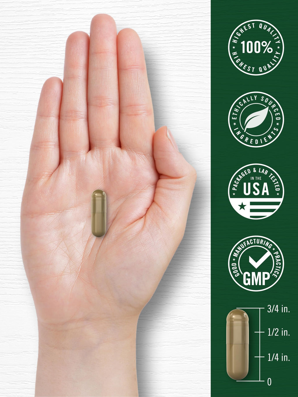 Carlyle Wormwood Capsules Artemisia Annua Herb - 200 Count - image 7