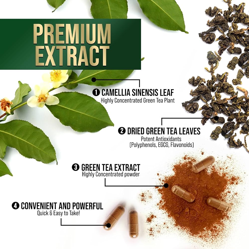 Nature's Nutrition Green Tea Extract 1000mg - 240 Capsules - image 5