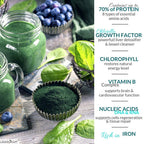 Wizelephant Chlorella Spirulina Powder Organic - 50 Servings - image 3