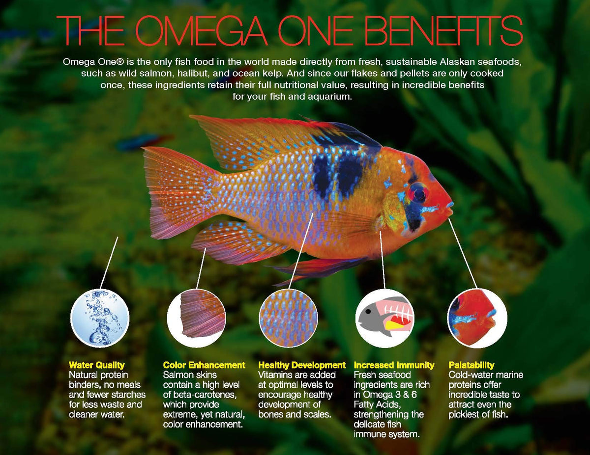 Omega One Super Color Sinking Cichlid Pellets Large - 3 lb - image 4