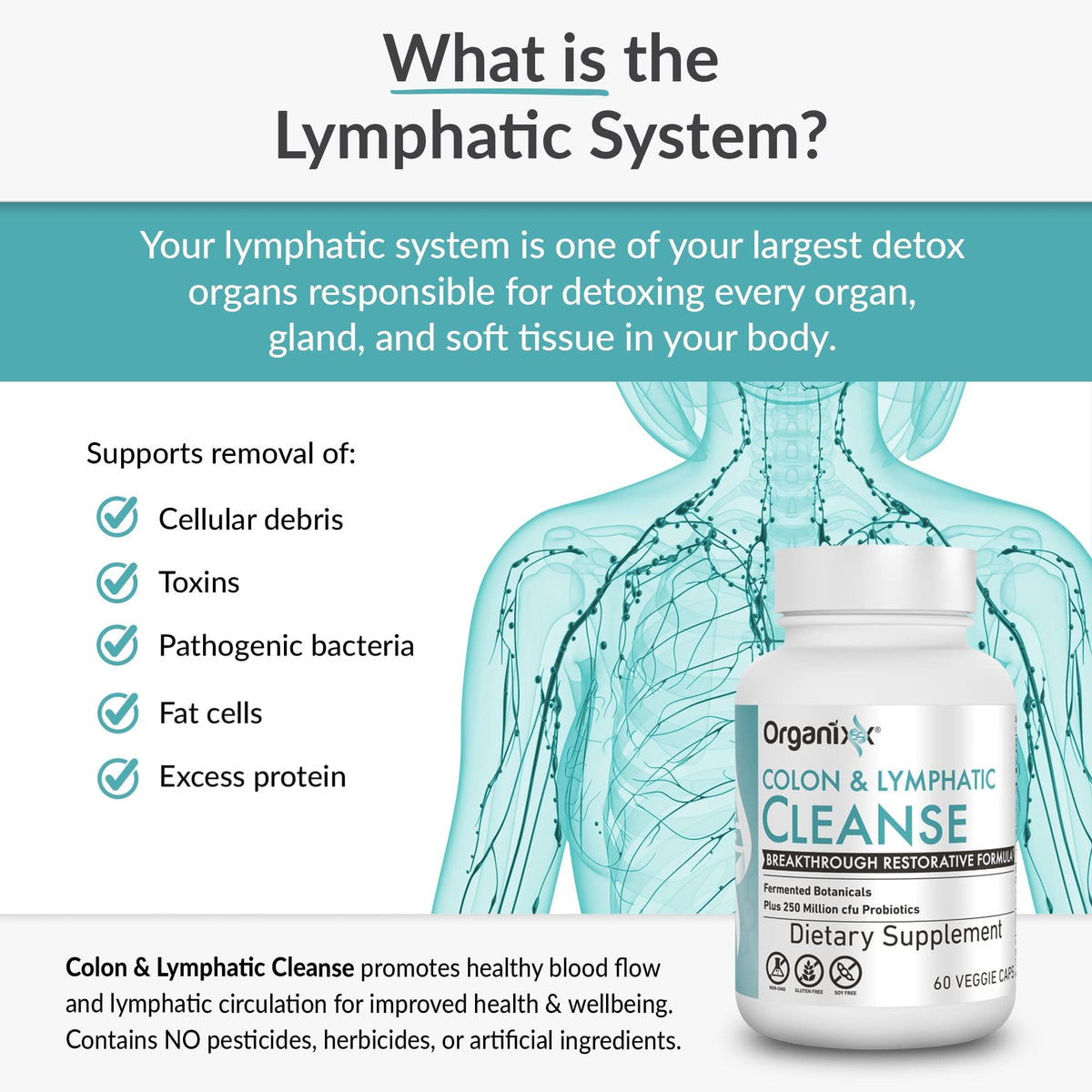 Organixx Lymphatic & Colon Cleanse Probiotic Support - 60 Capsules - image 4