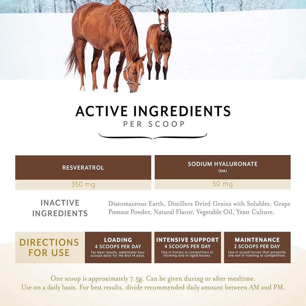 Equithrive Original Joint Powder Horse Supplement Molasses - 8 lbs - image 3