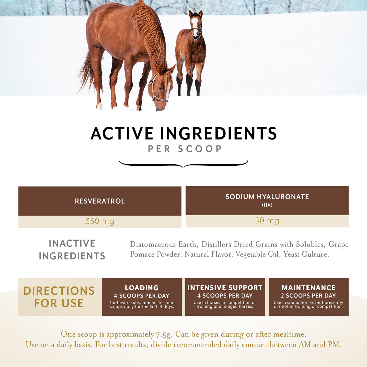 Equithrive Original Joint Powder Horse Supplement Molasses - 8 lbs - image 3