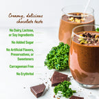 Orgain Organic Vegan Protein Powder + Greens