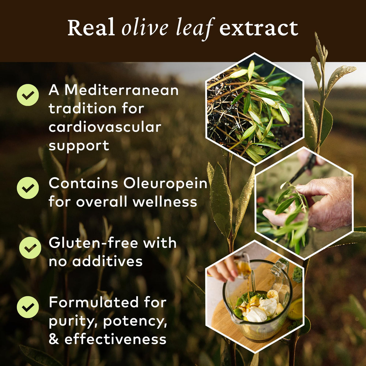 Comvita Olive Leaf Extract Liquid Immune Support - 16.9 fl oz - image 5