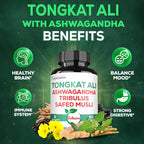 Satoomi Tongkat Ali Root Extract 200 - Strength