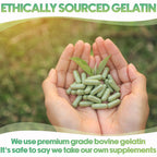 XPRS Nutra Gelatin Size 1 Separated Capsules - Empty Capsules