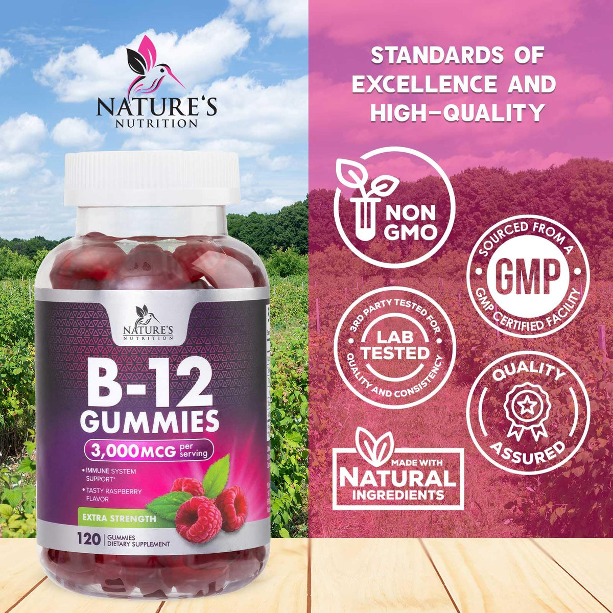 Nature's Nutrition B12 Energy Gummies 3000 mcg per Serving - Extra