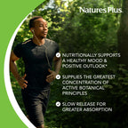 NaturesPlus Herbal Actives St. John's Wort Extended Release - 60 Tablets - image 4