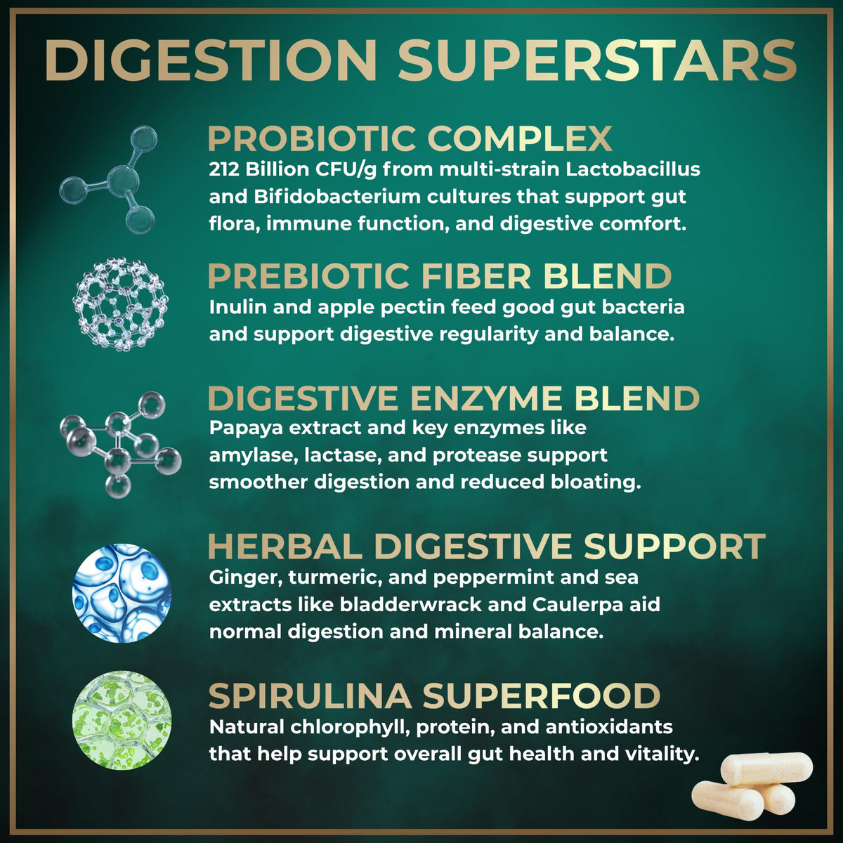 WILD FUEL Digestive Enzymes with Probiotics and Prebiotics Parent