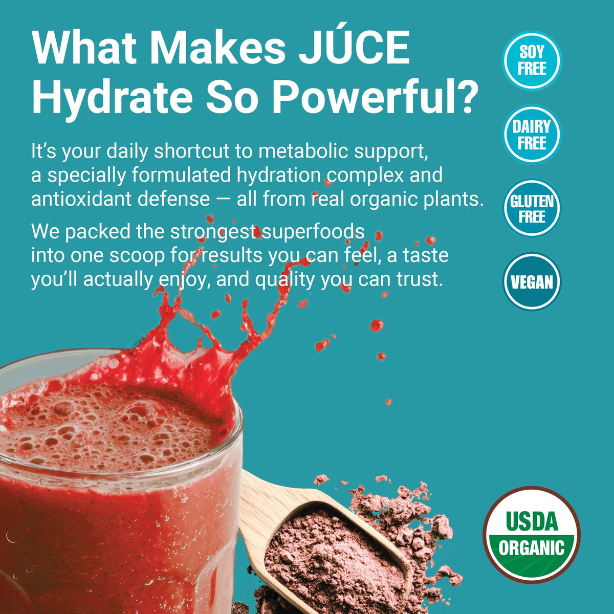 Terra Kai Organics Juce Hydrate Powder with Coconut Water & B12 - image 4