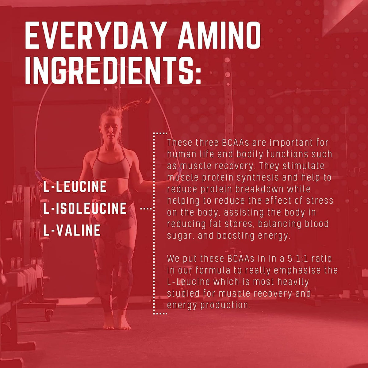 Purus Labs Everyday Amino BCAA Powder