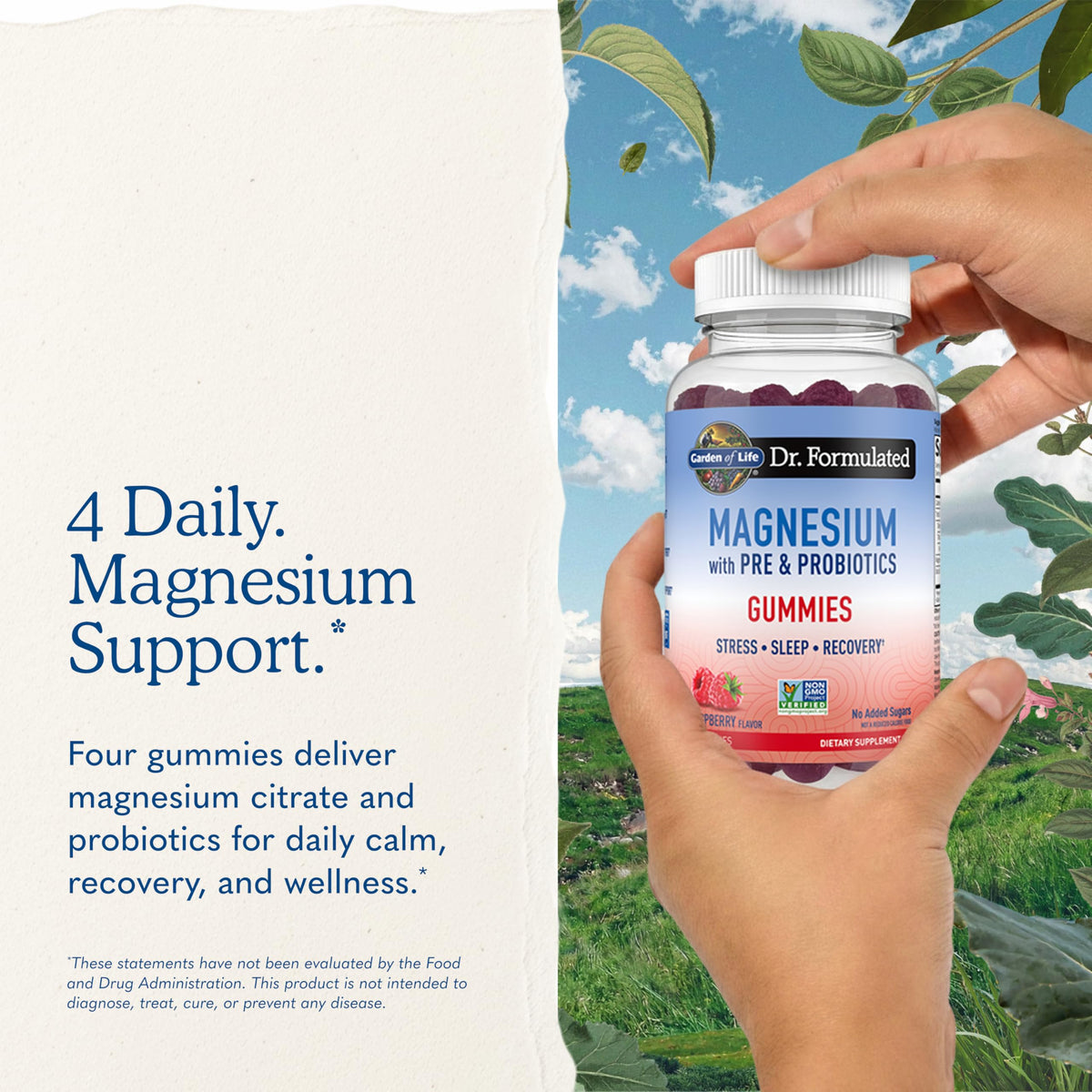 Garden of Life Dr. Formulated Magnesium Gummies