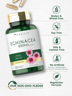 Carlyle Echinacea Capsules - 120 Vegetarian Capsules - image 5