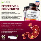 Healblend Digest + Postbiotics Multi-Enzyme Supplement - 60 Vegetarian Capsules - image 3