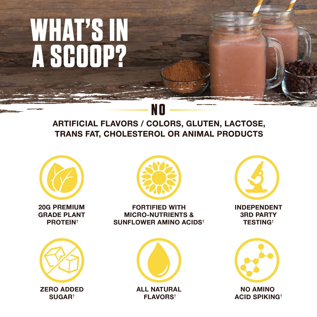 Ambrosia Planta - Premium Plant-Based Protein