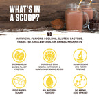 Ambrosia Planta - Premium Plant-Based Protein