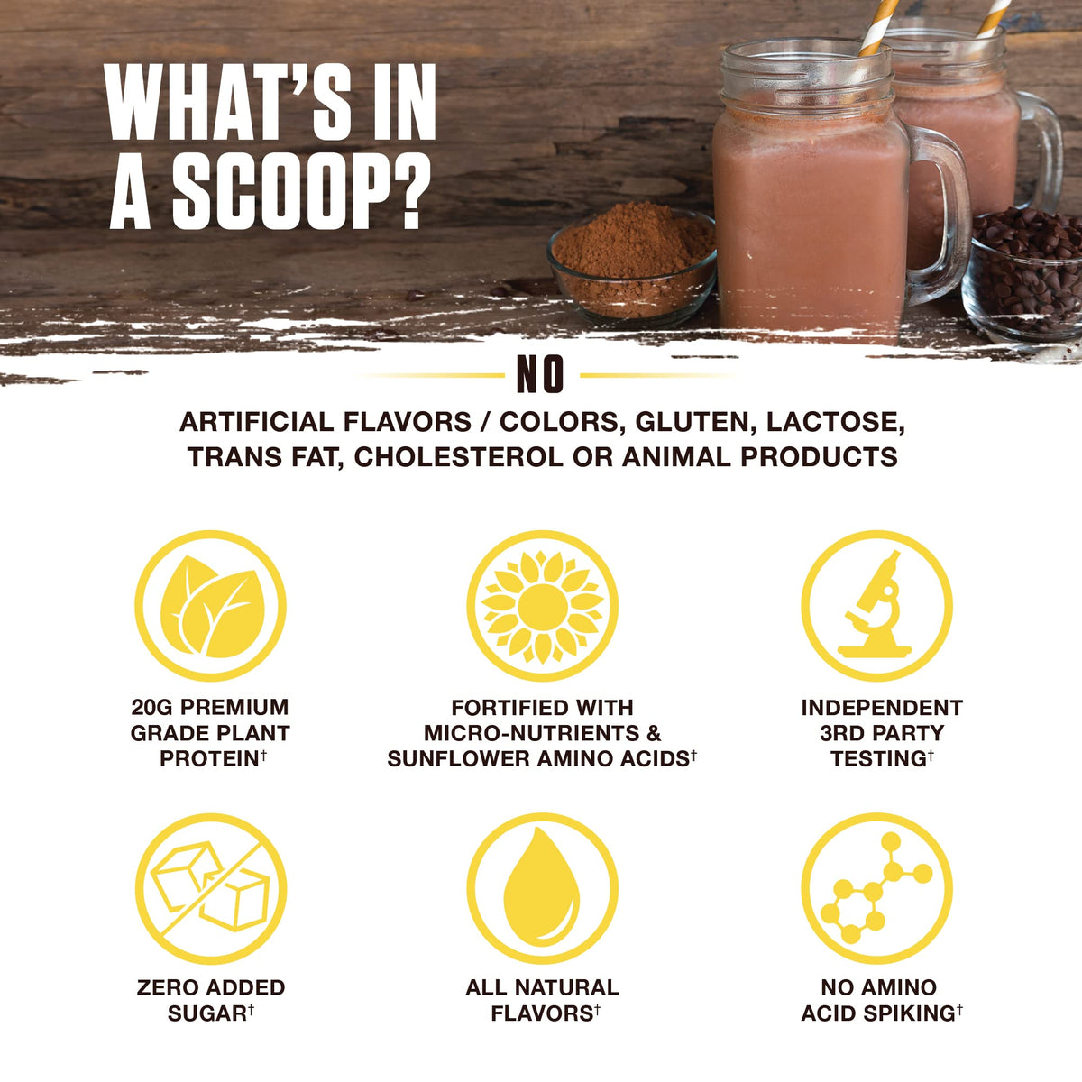 Ambrosia Planta - Premium Plant-Based Protein