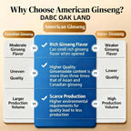 DABC OAK LAND Wisconsin American Ginseng Root - 8 oz - image 2