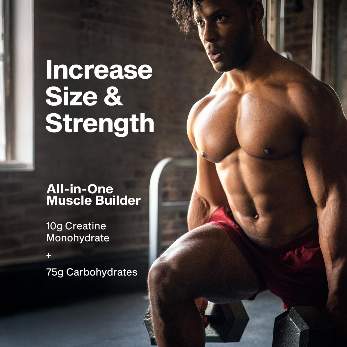 MuscleTech Cell-Tech Creatine Monohydrate Powder - 3 LB - image 3